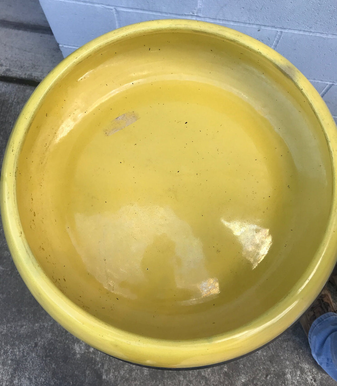 Catalina Island Cactus Bowl, Largest Size, Yellow Original iron holder!